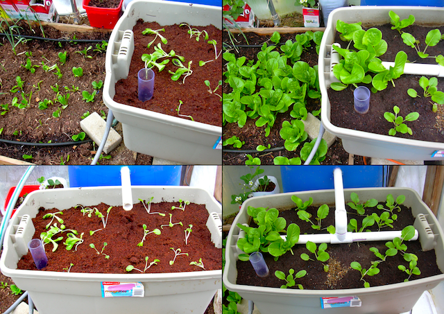 Screen shot 2010-05-12 at 10.01.42 AM.png