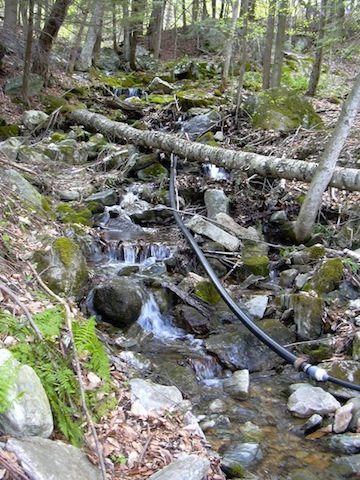 Creek.jpg