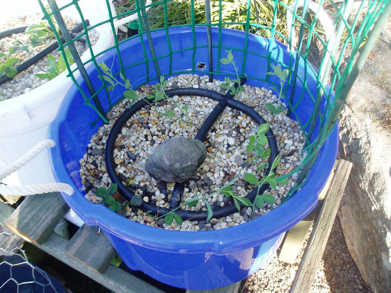 Water delivery 005.jpg