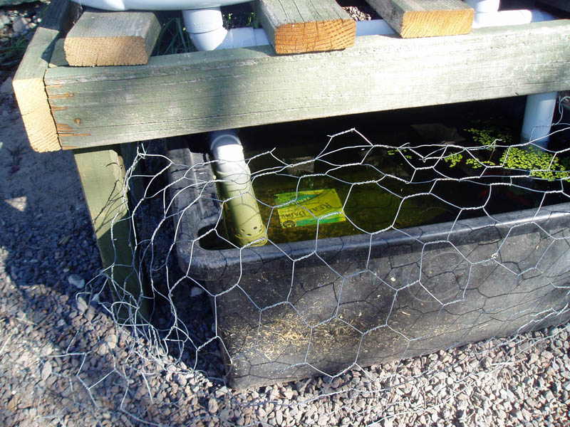 Water return 006.jpg