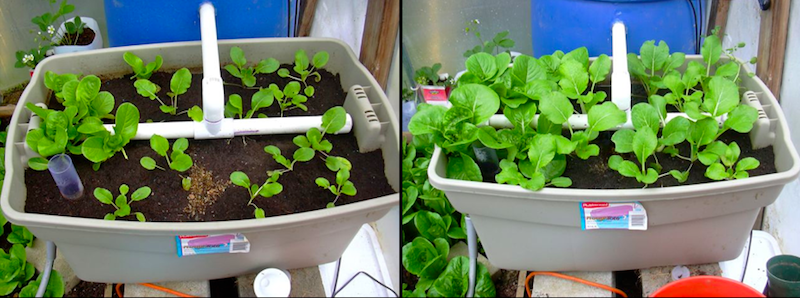 Screen shot 2010-05-19 at 10.58.25 AM.png