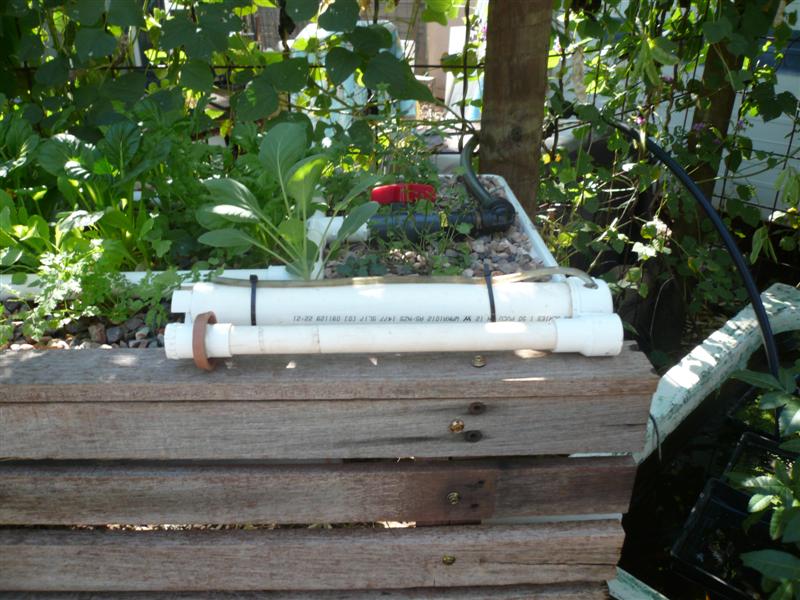 Bat design group tour 017 (Medium).jpg