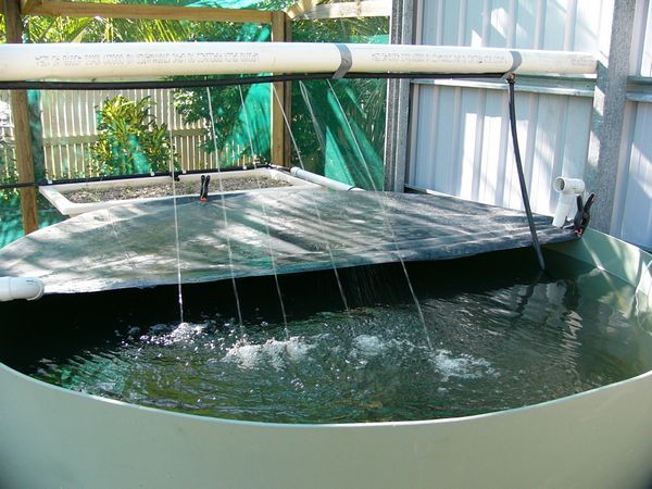 tn_new cover and aeration.JPG