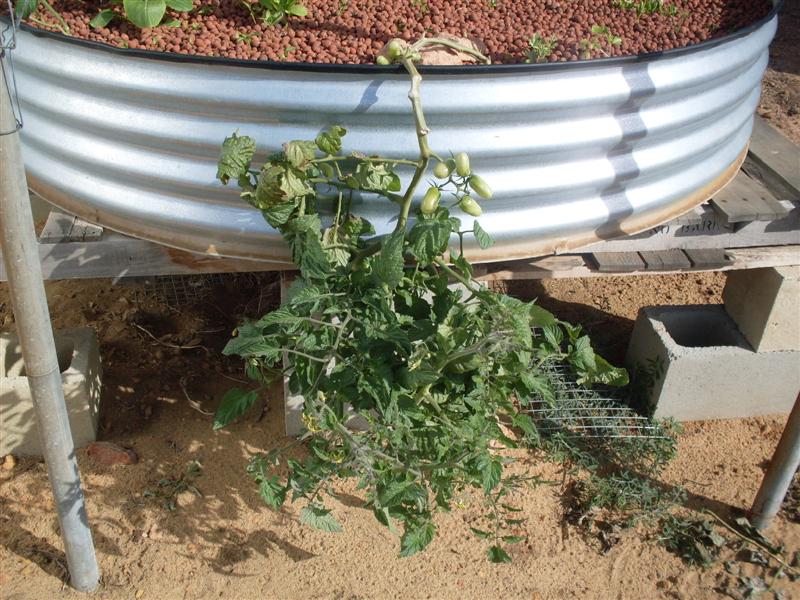 SDC11165 (Medium).JPG