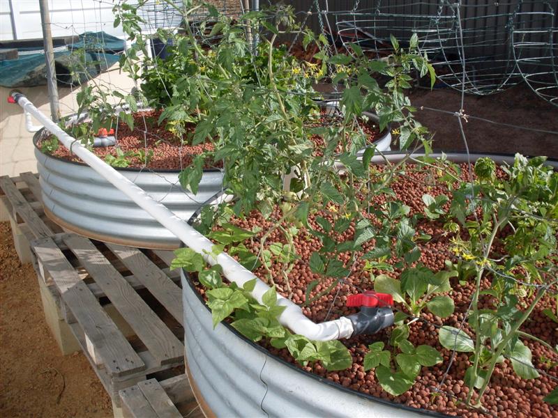 SDC11166 (Medium).JPG