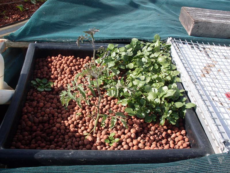 SDC11159 (Medium).JPG