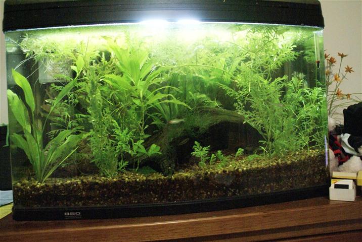 002 (Medium) (Small).JPG