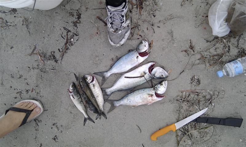 IMAG0018 (Medium).jpg