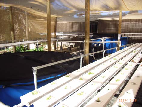 Commercial System1.jpg