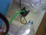 the pump in the sump.jpg