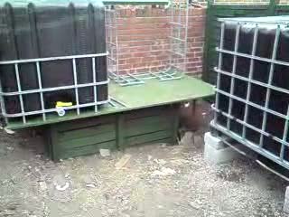 how it will almost look.jpg