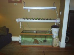 Picture 005 resize.jpg