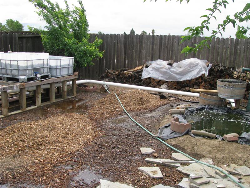 IMG_3740 (Medium).JPG