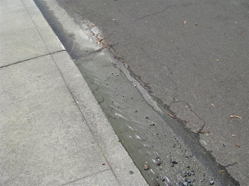 IMG_3794 (Medium).JPG