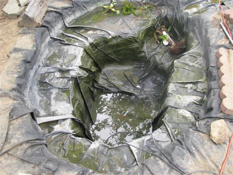 IMG_3854 (Medium).JPG