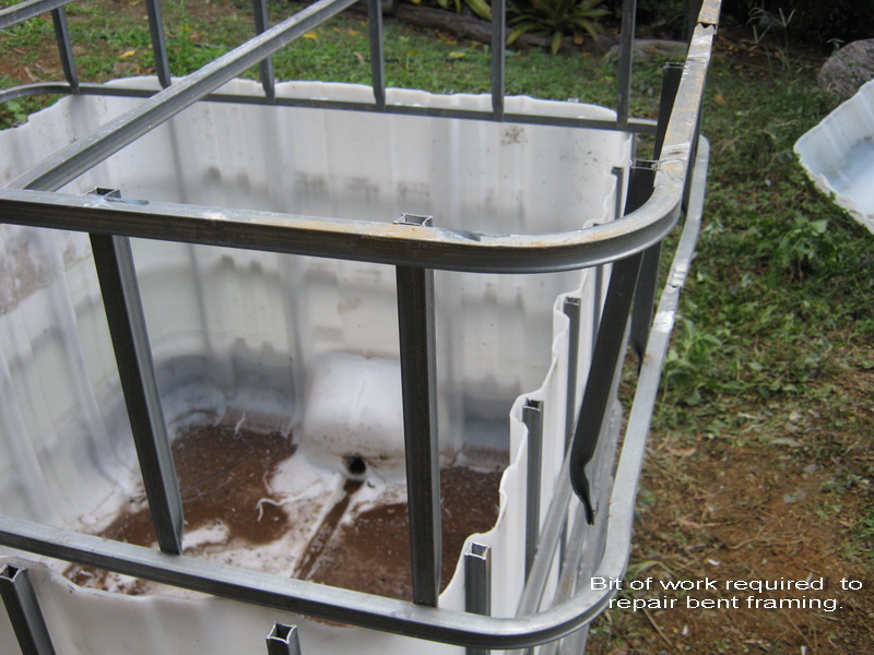 kings pics 014_resize.jpg