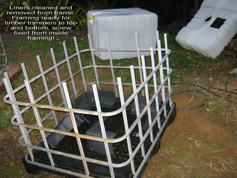 kings pics 019_resize.jpg