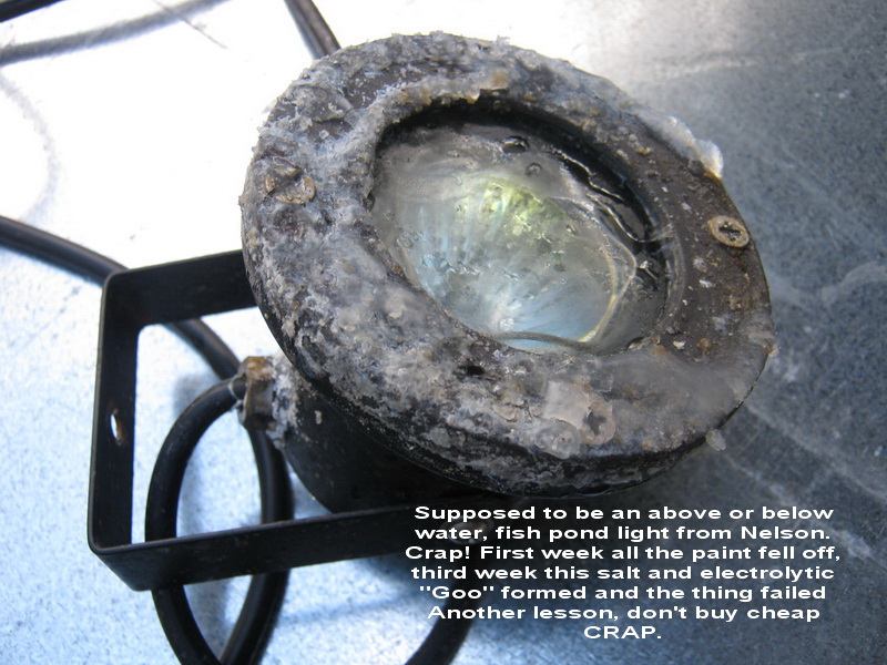 kings pics 011_resize.jpg