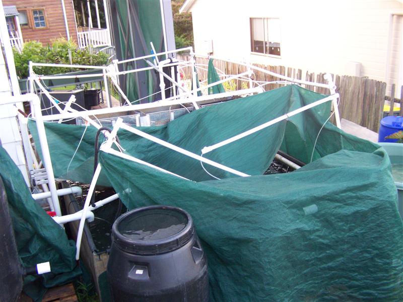 100_4666 (Medium).JPG