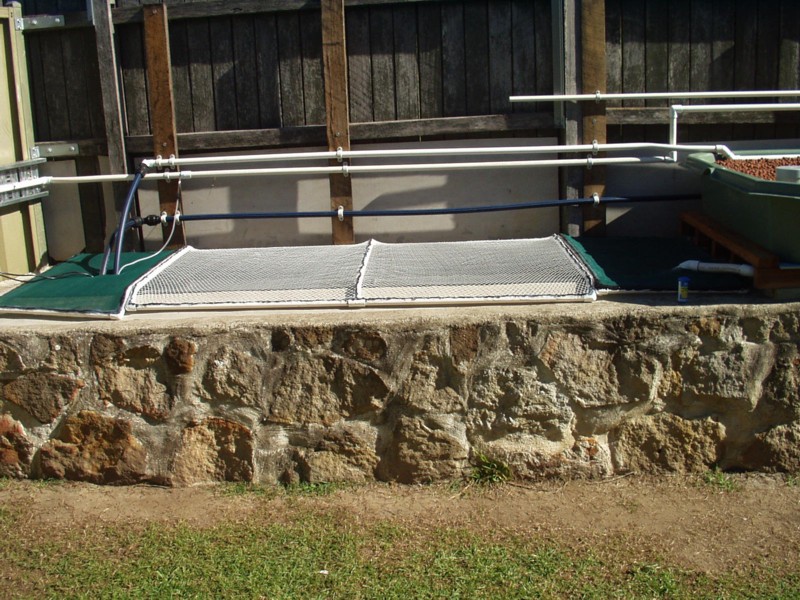 Fish tank with covers.jpg