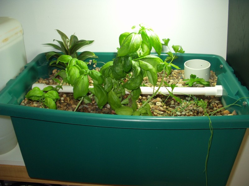 Test system connected to indoor fish tank.jpg