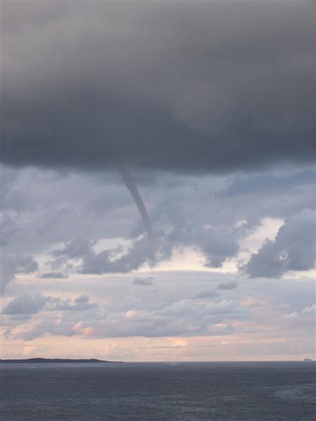 100_4636 (Medium).JPG