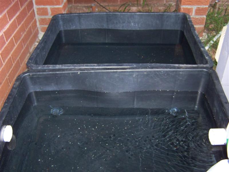 100_1035 (Medium).JPG