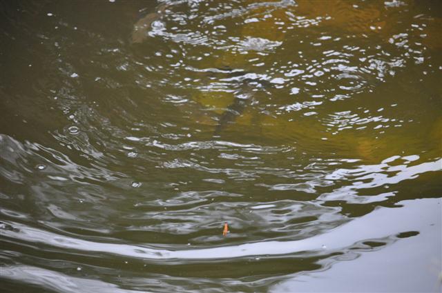 Another Try_4.6.10.jpg