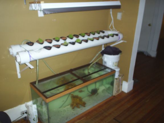 Picture 004 resize.jpg