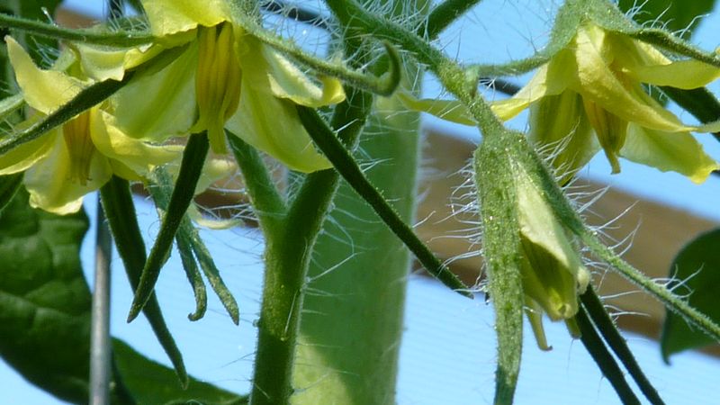 tn_hello down there.JPG