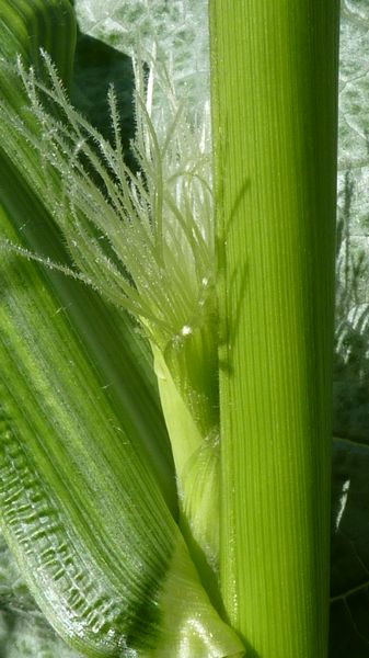 tn_is it safe out there.JPG