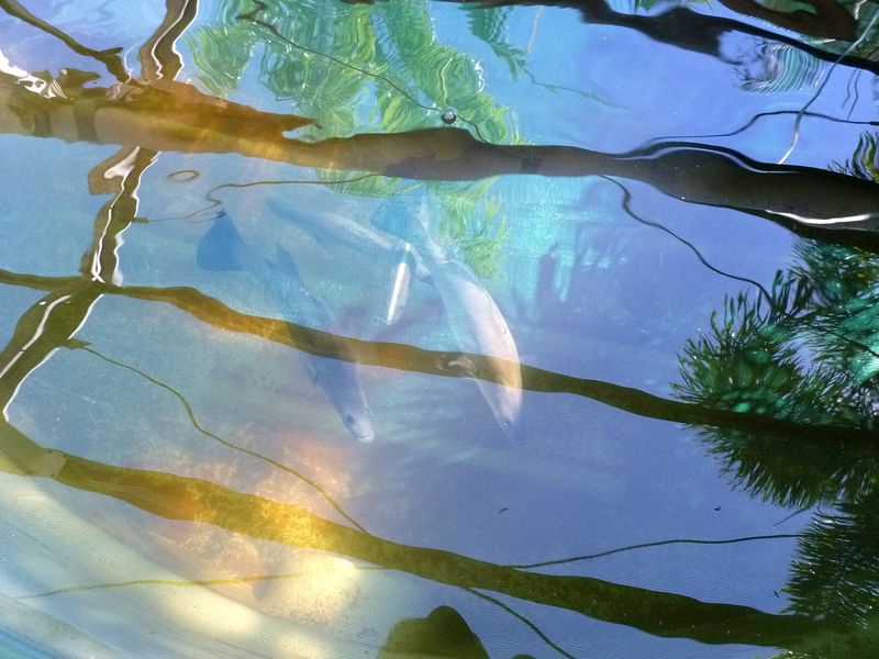 tn_embrace aquaponics.jpg