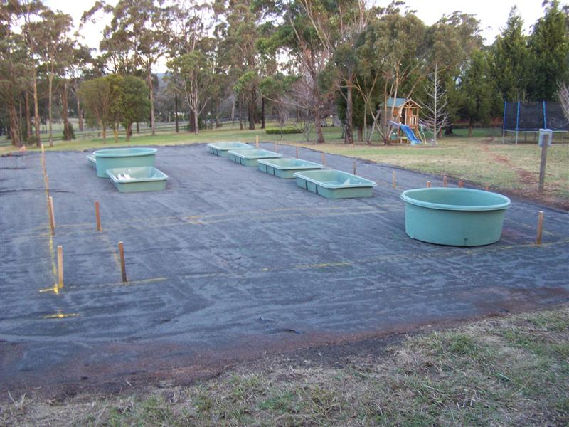 100_4675 (Medium).JPG