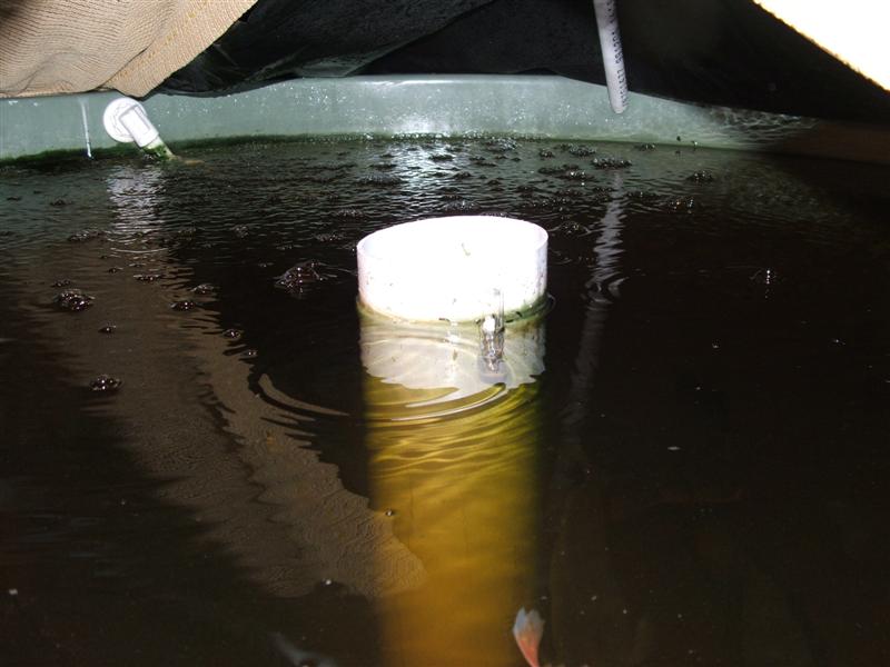 DSCF3707 (Medium).JPG