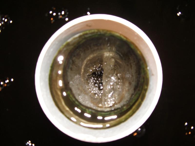 DSCF3714 (Medium).JPG