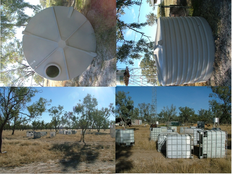 thetank and growbeds.jpg