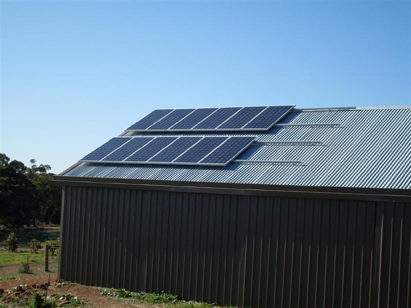 SDC11229 (Medium).JPG