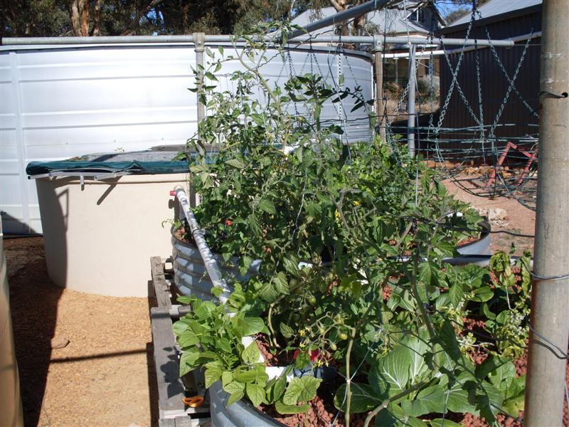 SDC11238 (Medium).JPG