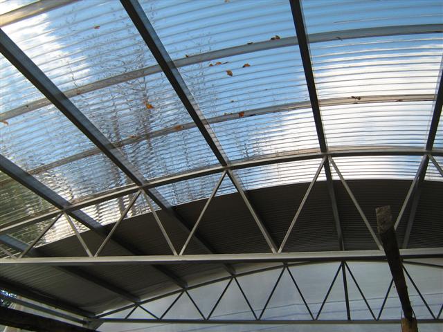 new roof for future aquaponics.jpg