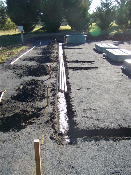 100_4685 (Medium).JPG