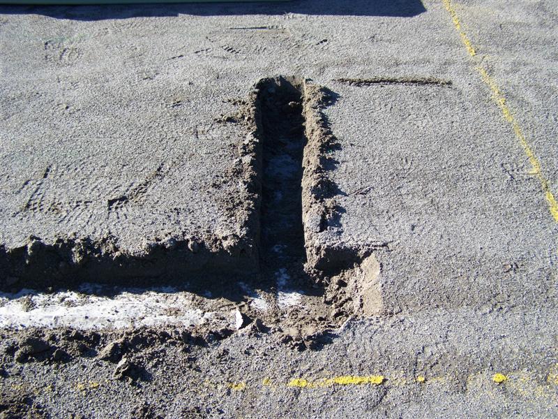 100_4686 (Medium).JPG