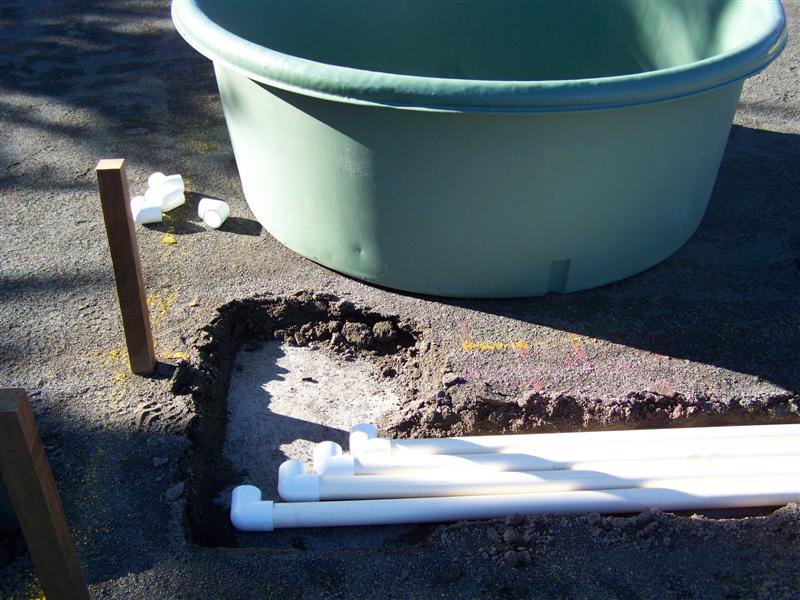 100_4687 (Medium).JPG