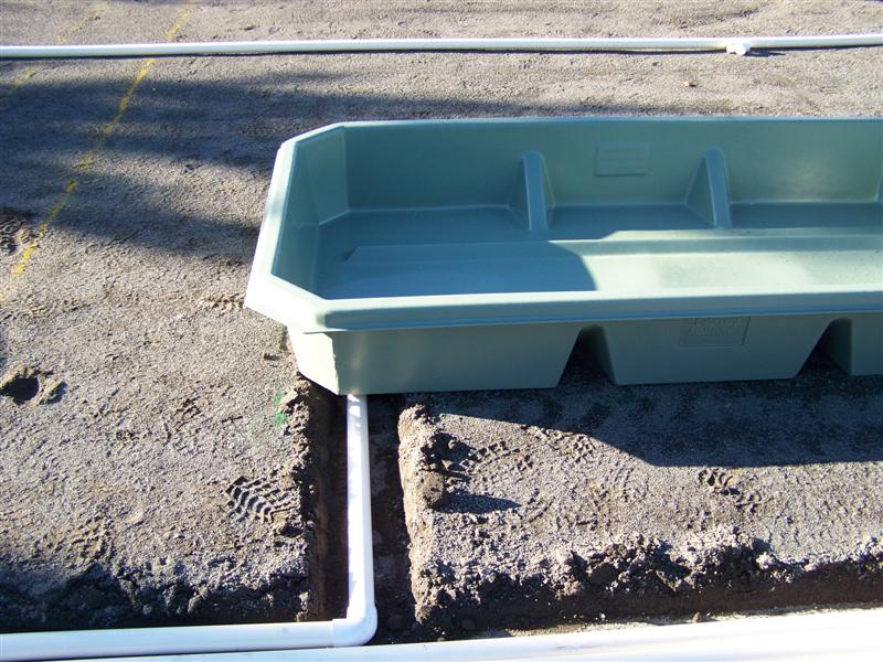 100_4694 (Medium).JPG