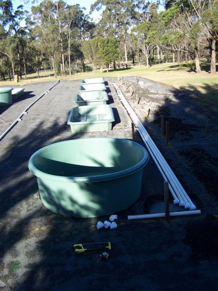 100_4696 (Medium).JPG