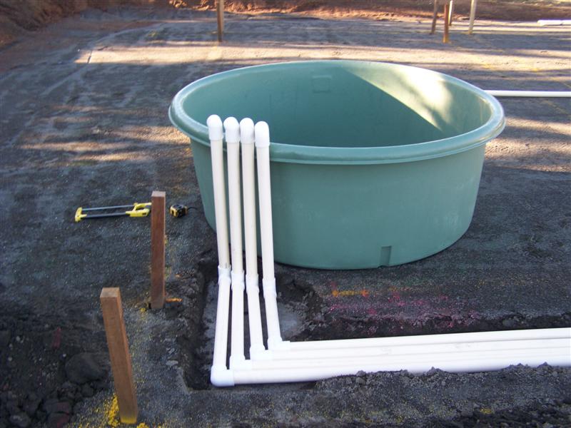 100_4700 (Medium).JPG