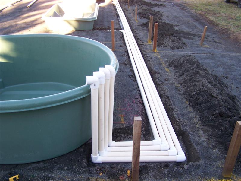 100_4701 (Medium).JPG