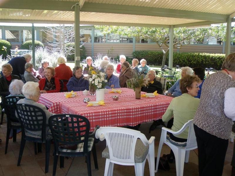 P9250025 (Medium).jpg