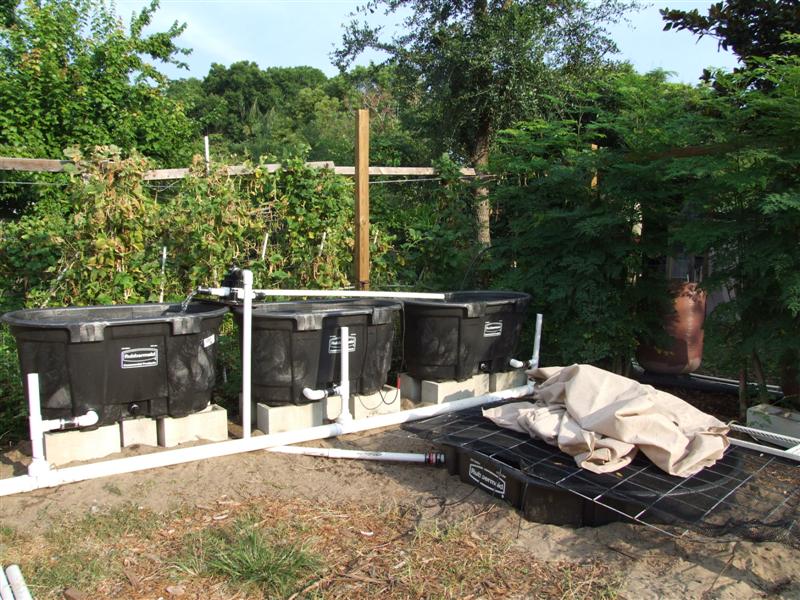 Flood and drain plumbing all hooked up (Medium).JPG