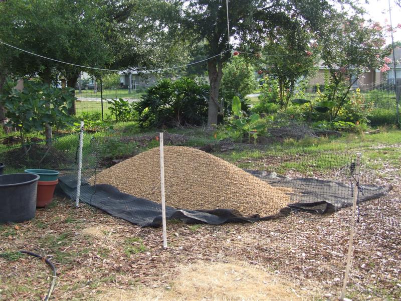 Got Gravel (Medium).JPG
