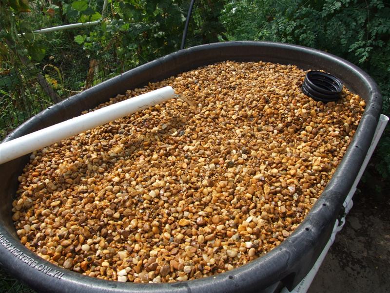 Greensand covered (Medium).JPG